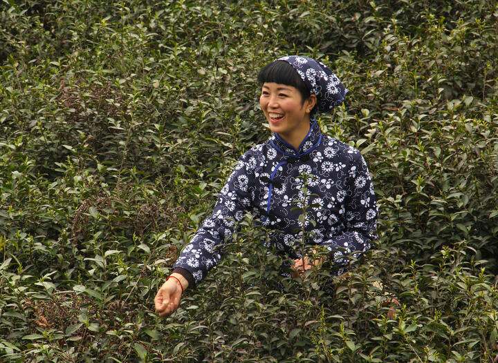雨伞迷局